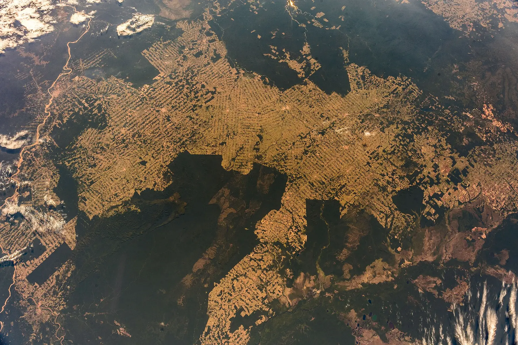 The Amazon rainforest seen from the International Space Station (Alexander Gerst / ESA)