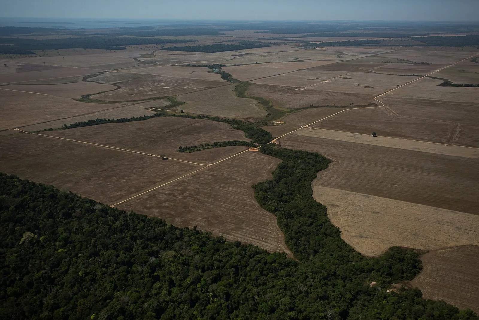 Aerial view of burning forest in Rondônia, Brazil, August 2020 (Bruno Kelly / Amazônia Real)